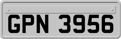 GPN3956
