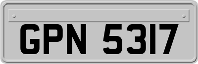 GPN5317