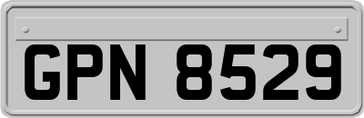GPN8529