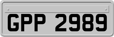 GPP2989