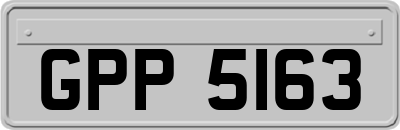 GPP5163