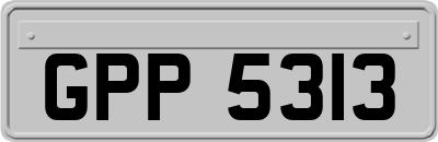 GPP5313