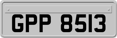 GPP8513
