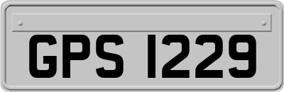 GPS1229