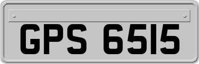 GPS6515