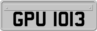 GPU1013