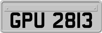 GPU2813