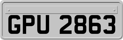 GPU2863
