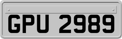 GPU2989
