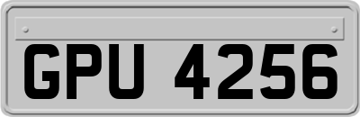 GPU4256