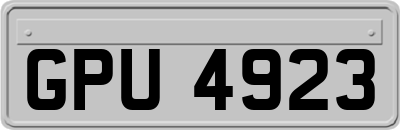 GPU4923