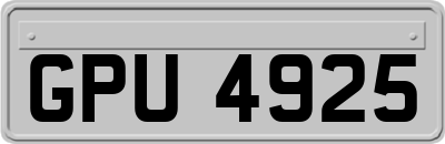 GPU4925