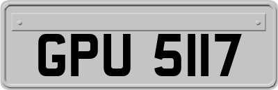 GPU5117