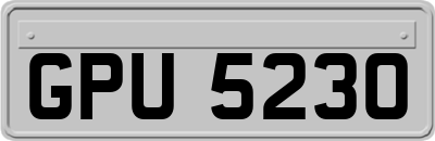 GPU5230
