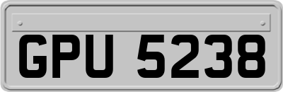 GPU5238