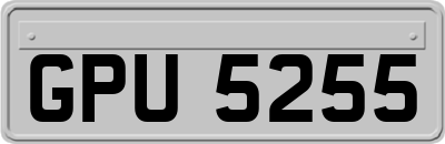 GPU5255