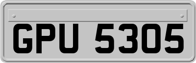 GPU5305