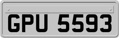 GPU5593