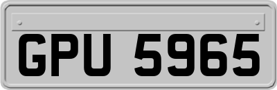 GPU5965