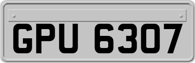 GPU6307