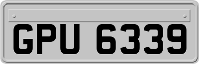 GPU6339