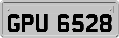 GPU6528