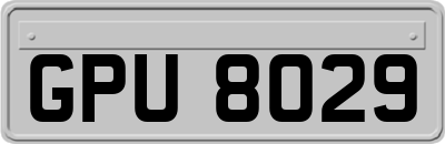 GPU8029