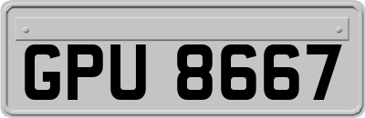 GPU8667