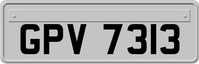 GPV7313