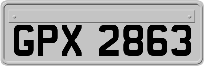 GPX2863