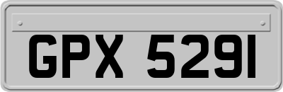 GPX5291