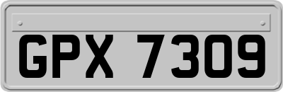 GPX7309