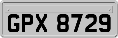 GPX8729