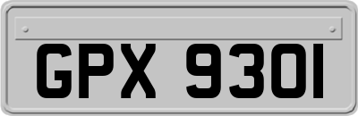GPX9301