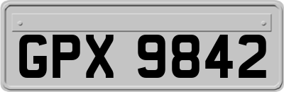 GPX9842