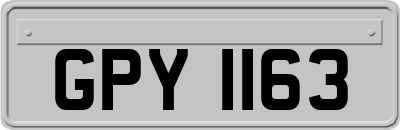 GPY1163