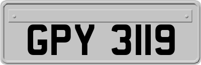 GPY3119