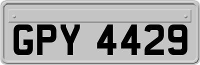 GPY4429