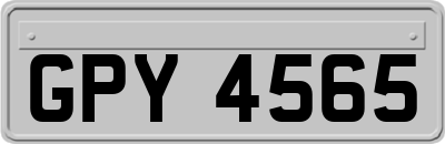 GPY4565