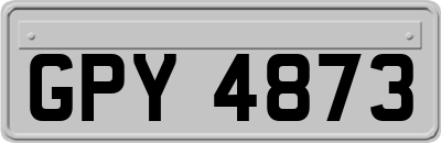 GPY4873