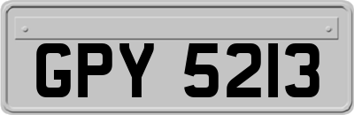 GPY5213