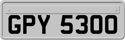 GPY5300