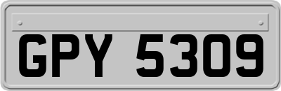 GPY5309
