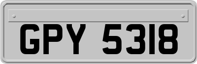 GPY5318