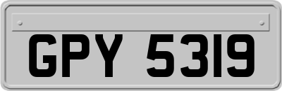 GPY5319