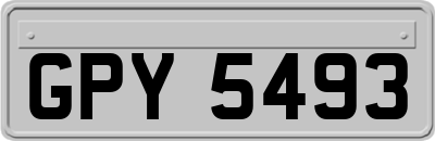 GPY5493