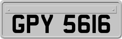 GPY5616