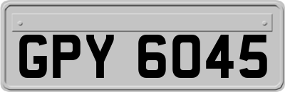 GPY6045
