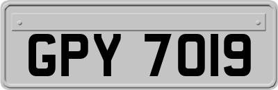 GPY7019