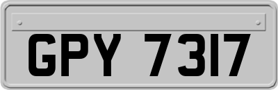 GPY7317